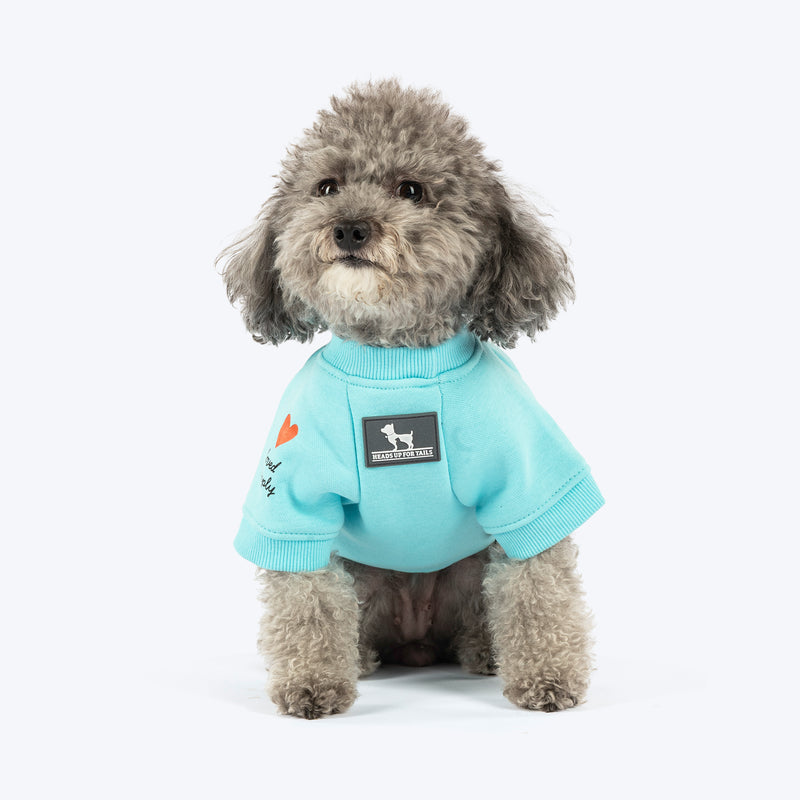 HUFT Little Jumbo Sweatshirt For Dog - Aqua