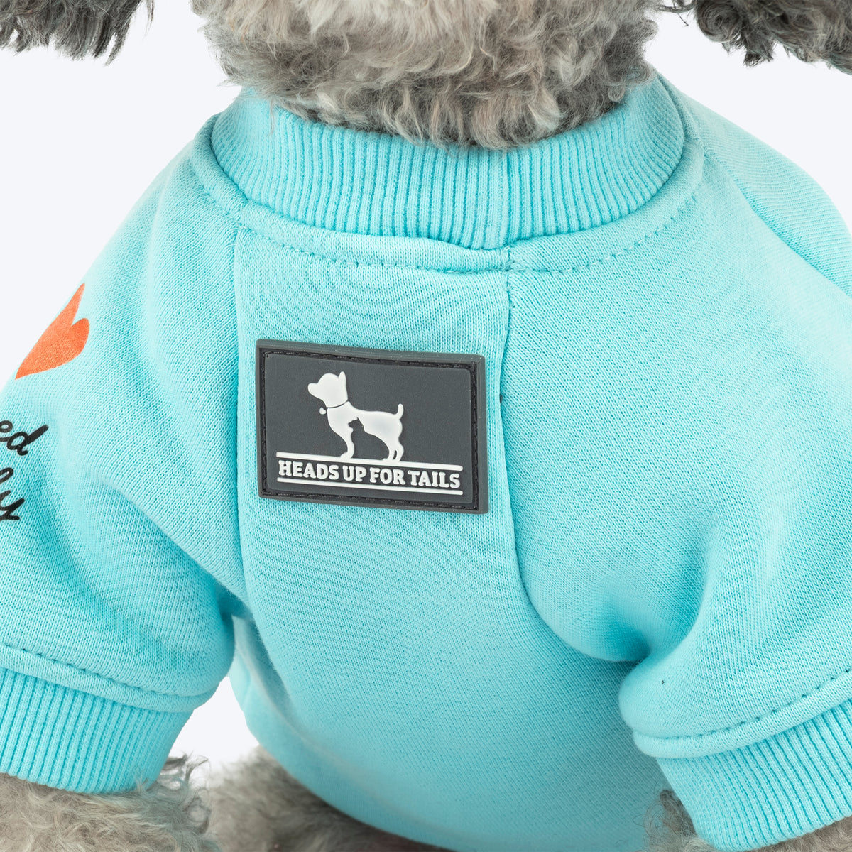 HUFT Little Jumbo Sweatshirt For Dog - Aqua