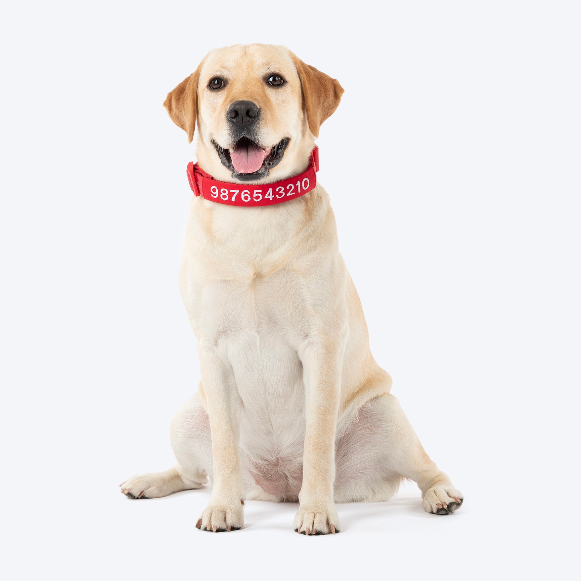 HUFT Personalised Xplorers (Mobile No.) Dog Collar - Red - Heads Up For Tails