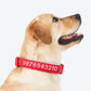 HUFT Personalised Xplorers (Mobile No.) Dog Collar - Red - Heads Up For Tails