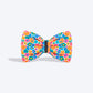 HUFT Bloomburst Printed Bow Tie For Dog - Multicolor_03