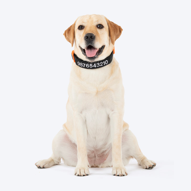HUFT Personalised Xplorers (Mobile No.) Dog Collar - Black - Heads Up For Tails