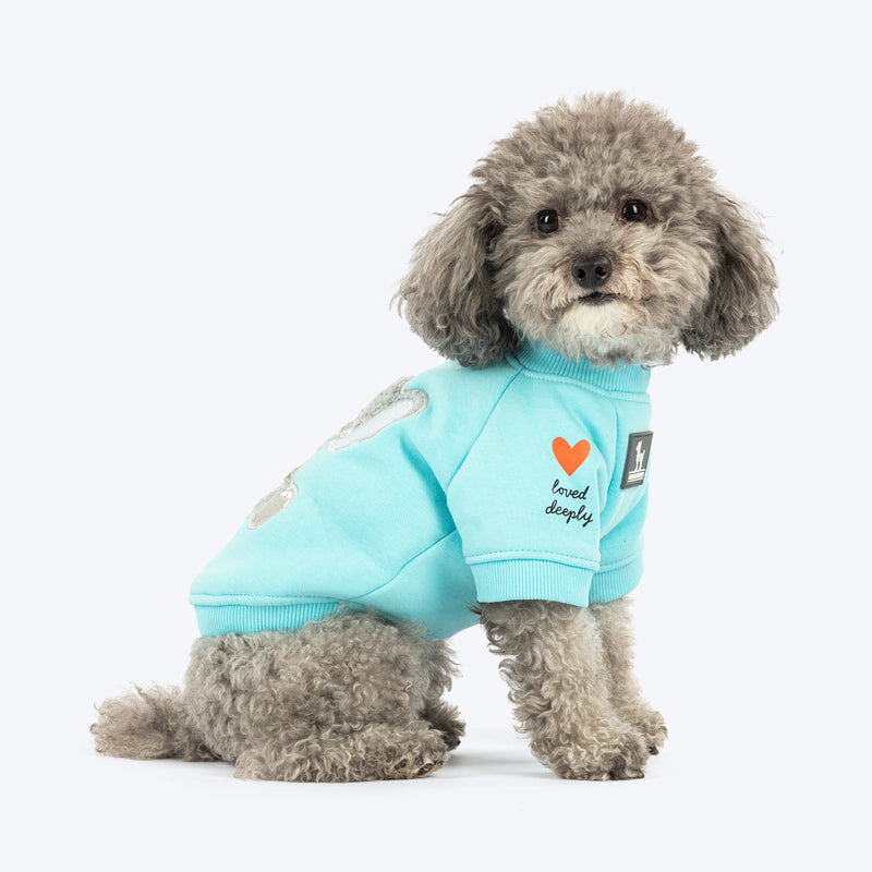 HUFT Little Jumbo Sweatshirt For Dog - Aqua