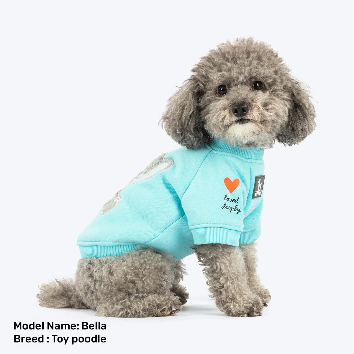 HUFT Little Jumbo Sweatshirt For Dog - Aqua