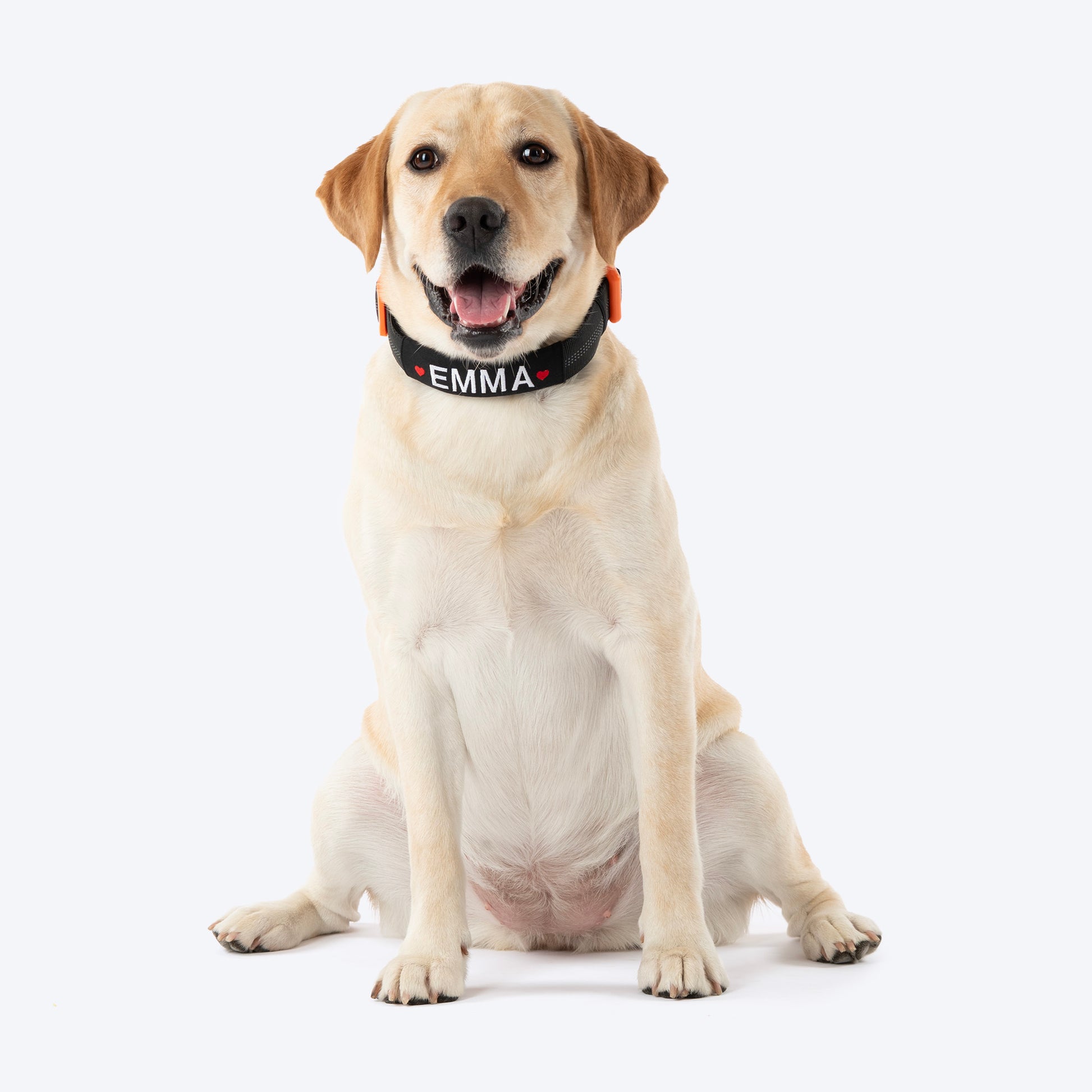 HUFT Xplorers Personalised Dog Collar - Black - Heads Up For Tails