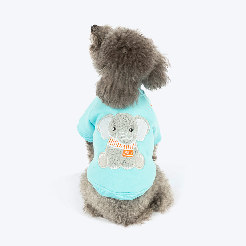 HUFT Little Jumbo Sweatshirt For Dog - Aqua