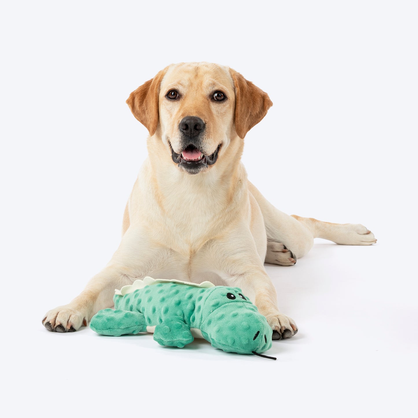 HUFT Mister Crocker Plush Toy For Dog - Green - Heads Up For Tails