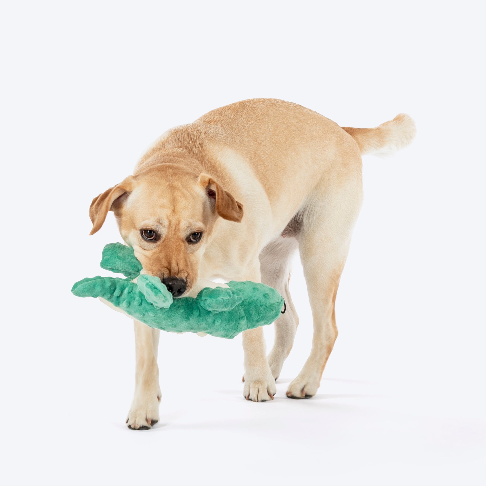 HUFT Mister Crocker Plush Toy For Dog - Green - Heads Up For Tails
