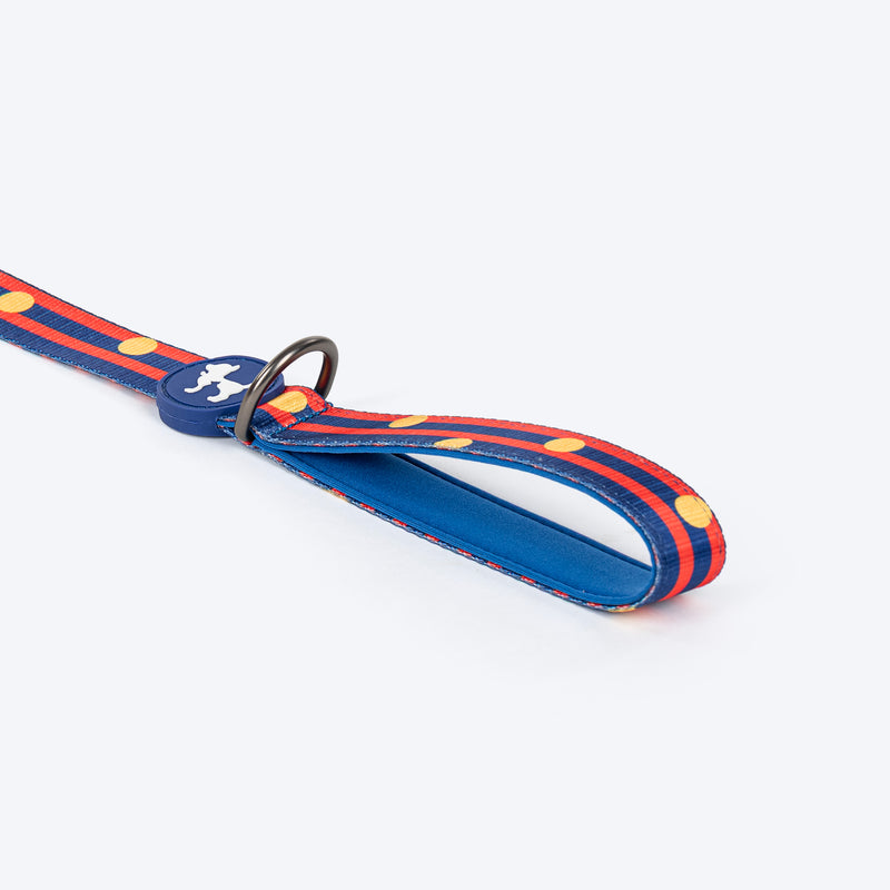 HUFT Playstripes Leash For Dog - Rust & Navy - Heads Up For Tails