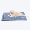 HUFT Jaipuri Phool Dog Mat - Blue & Pink