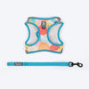 HUFT Easy Breezy Step-In Harness Set For Cats - Abstract - Heads Up For Tails