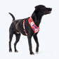 HUFT Petal Play Adjustable Dog Harness - Orange_03