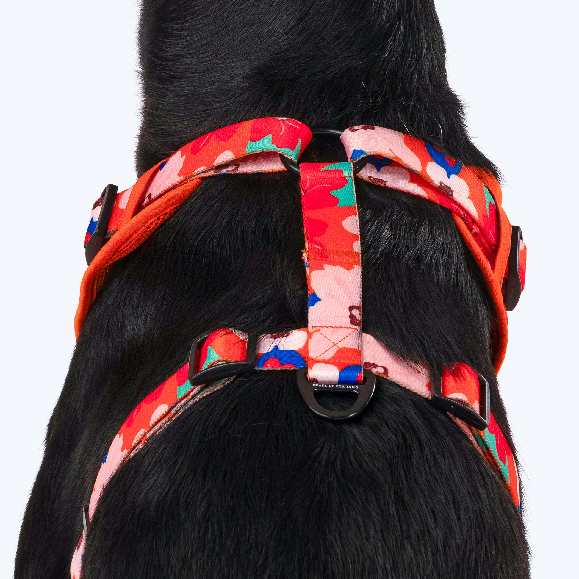 HUFT Petal Play Adjustable Dog Harness - Orange_04
