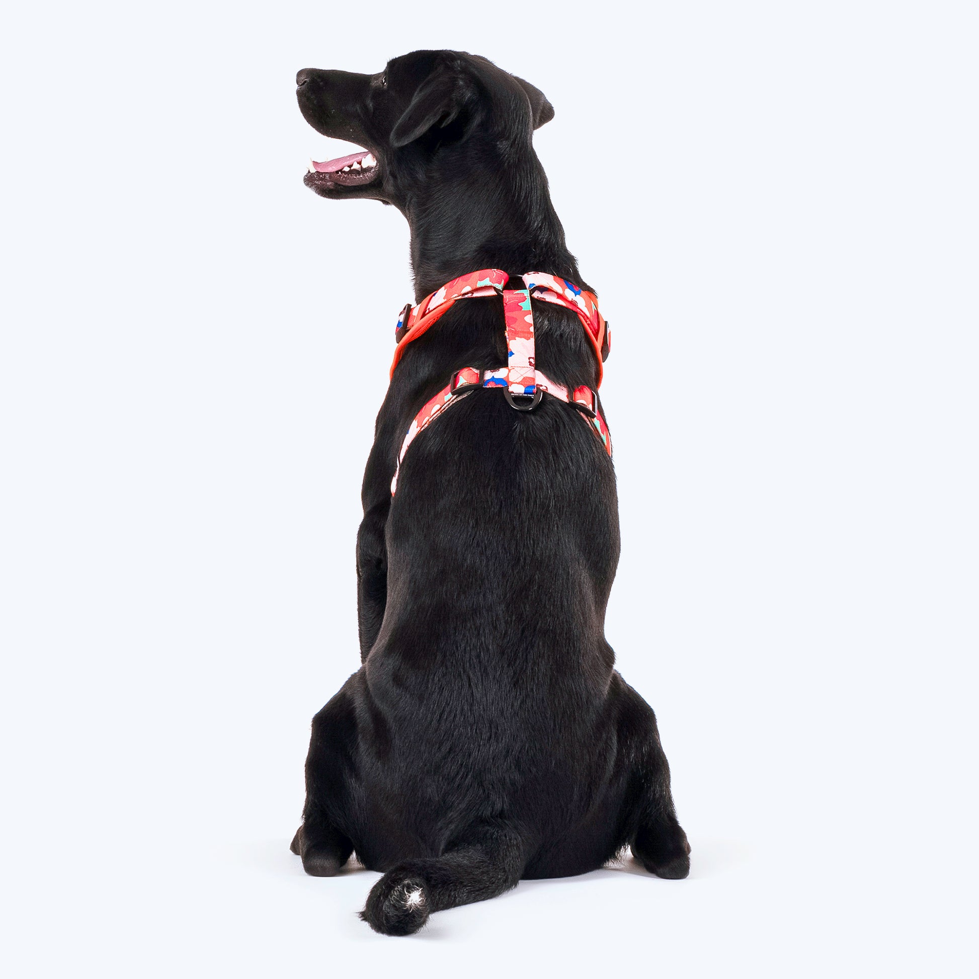 HUFT Petal Play Adjustable Dog Harness - Orange_02