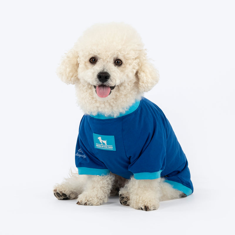 HUFT Bear Hug T-Shirt For Dog - Blue