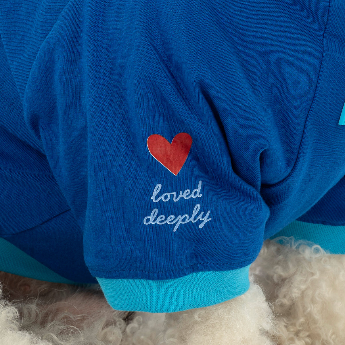 HUFT Bear Hug T-Shirt For Dog - Blue