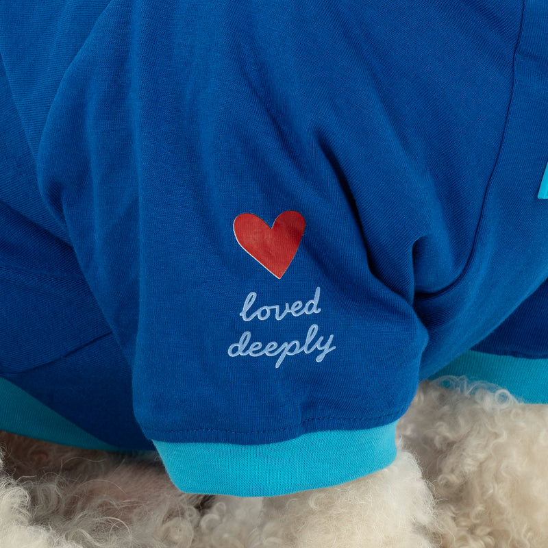 HUFT Bear Hug T-Shirt For Dog - Blue