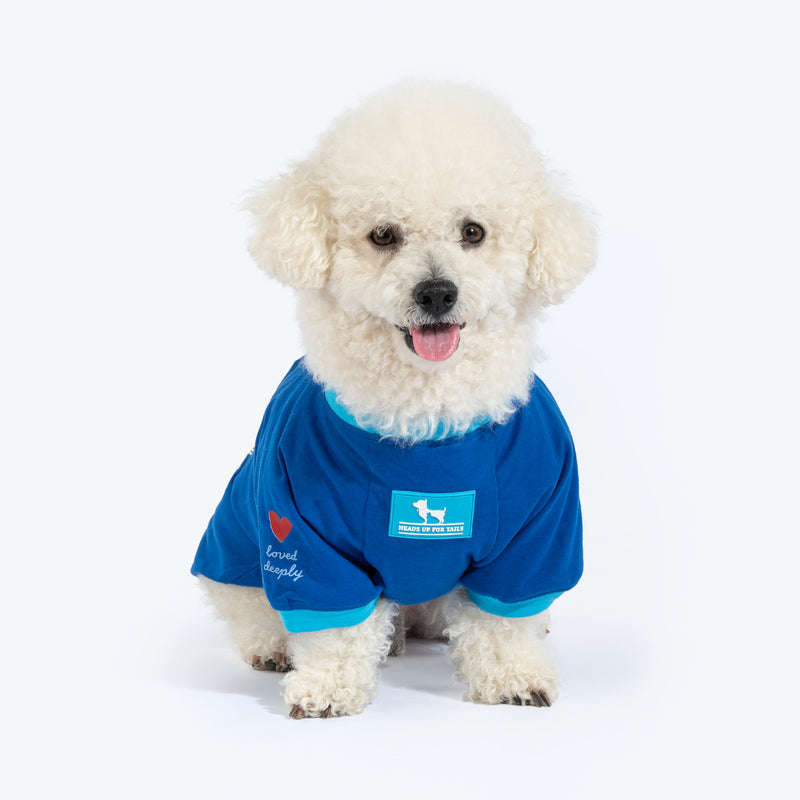 HUFT Bear Hug T-Shirt For Dog - Blue