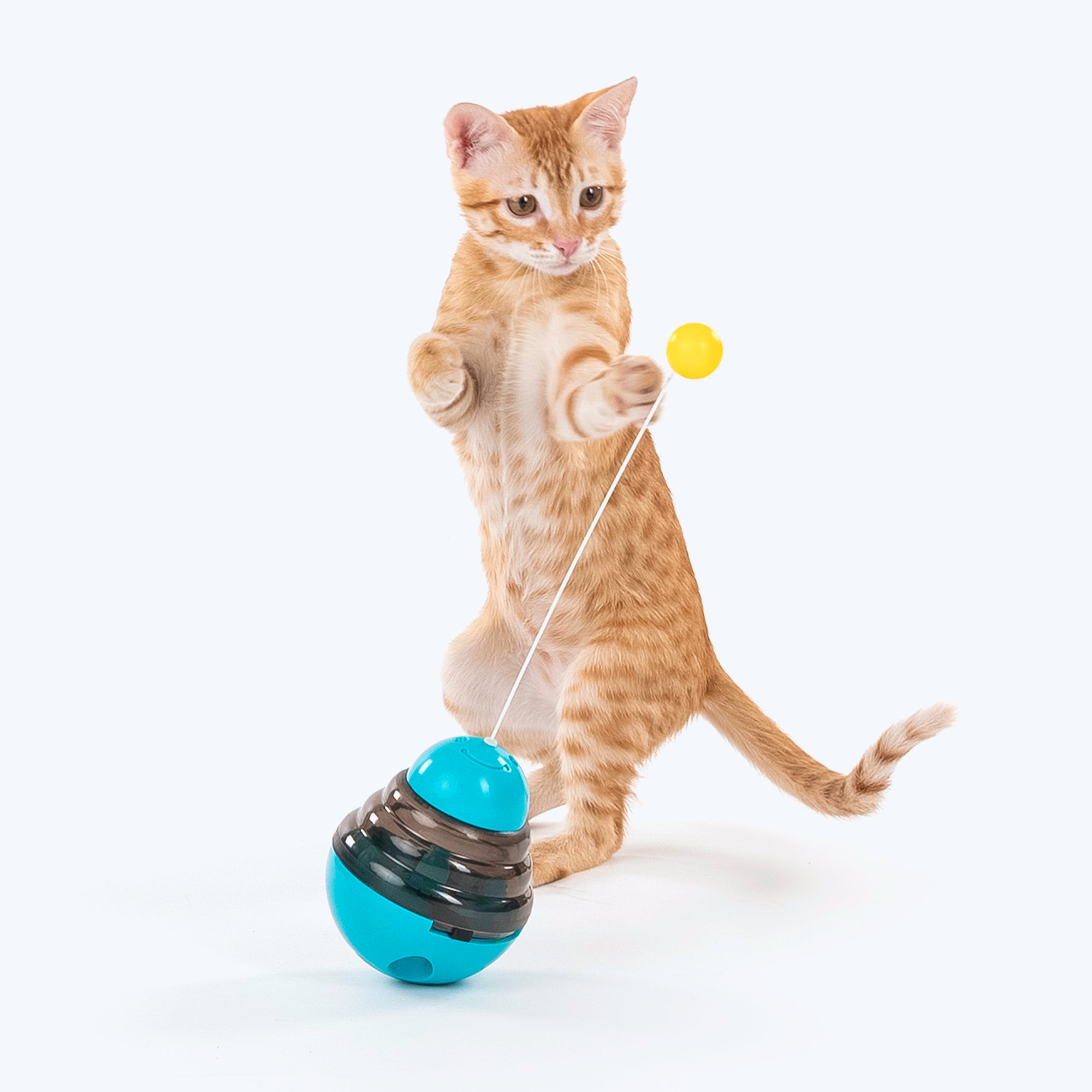 New interactive 2024 cat toys