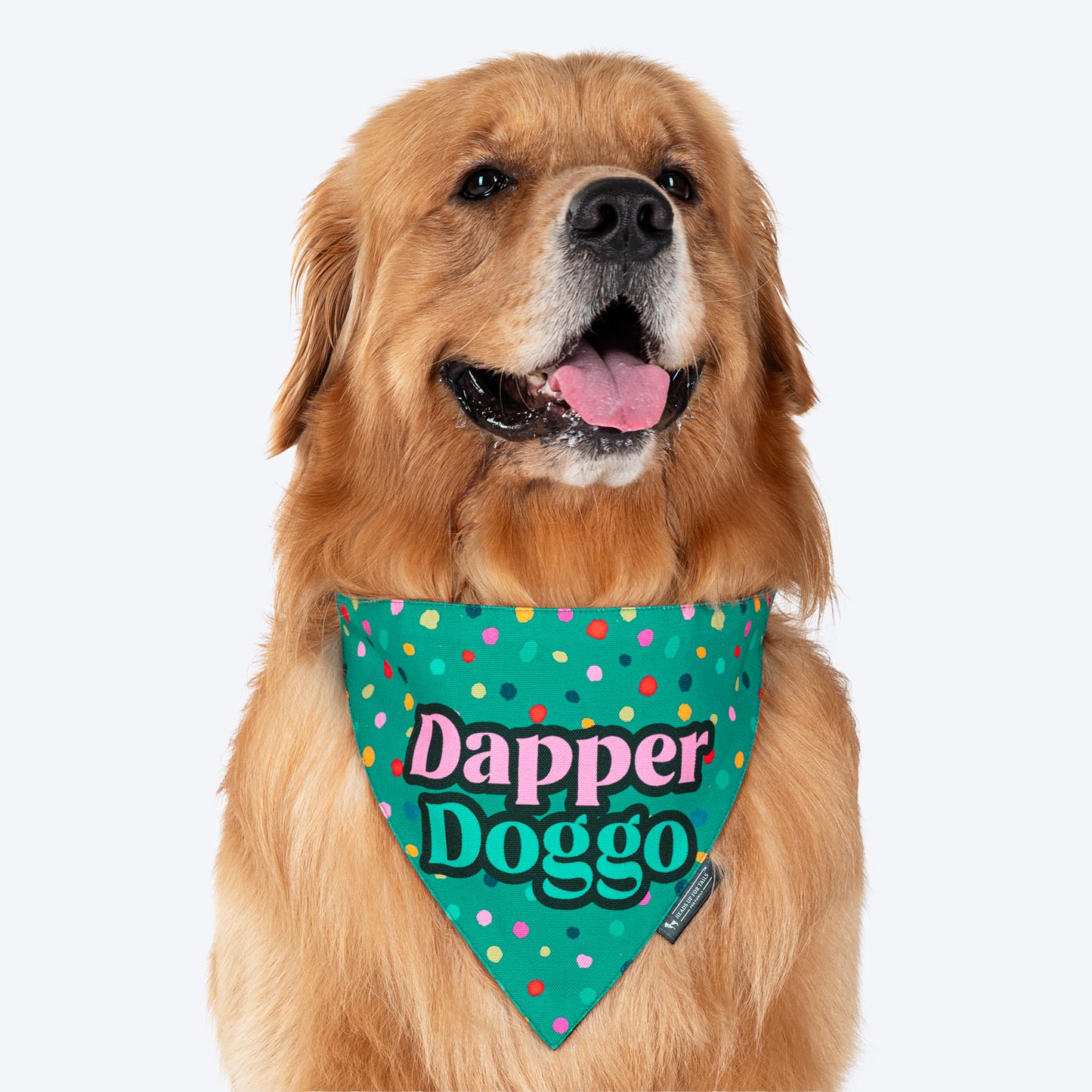 HUFT Dapper Doggo Printed Dog Bandana - Green - Heads Up For Tails