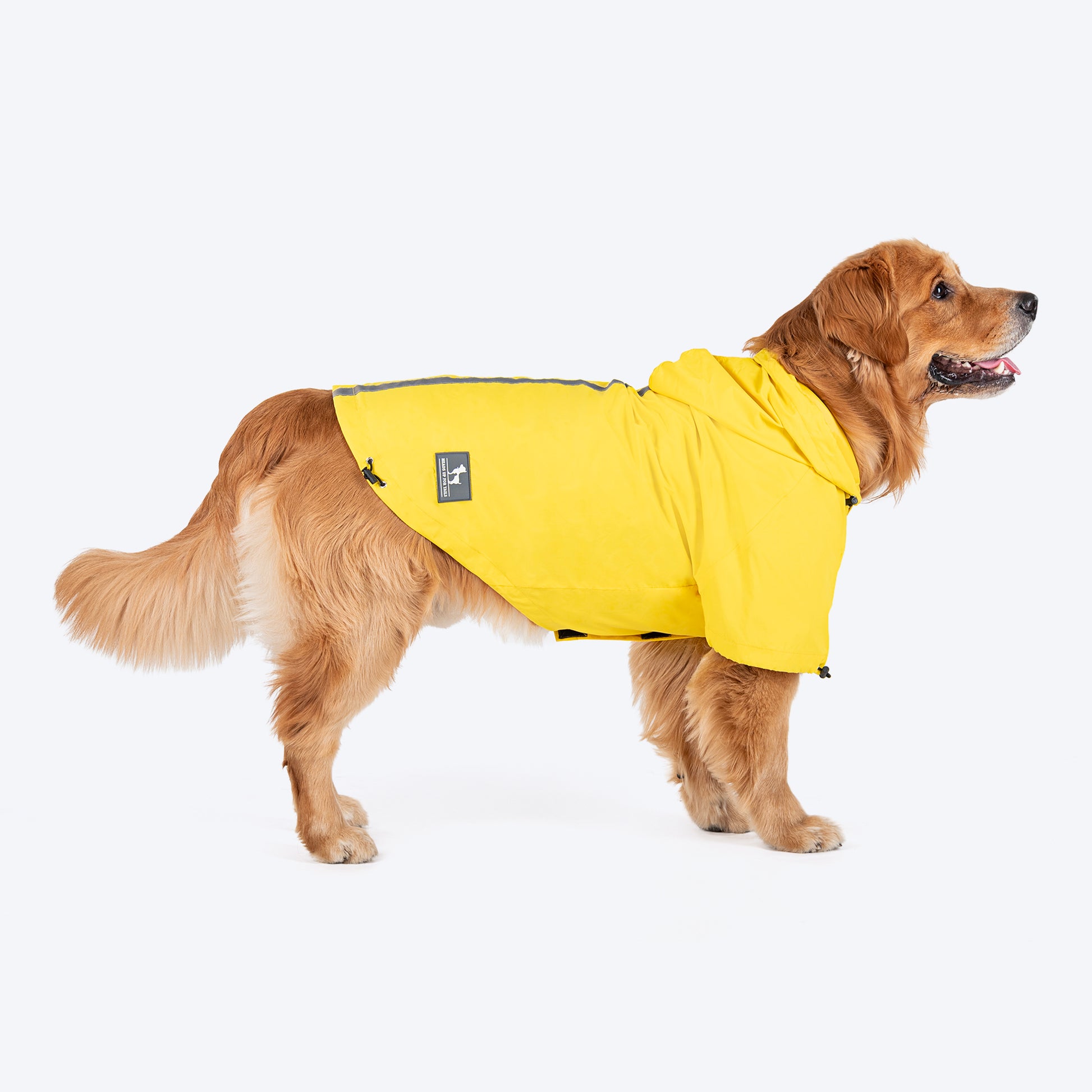 HUFT Magical Mist Raincoats For Dog & Cat - Sunshine Yellow - Heads Up For Tails