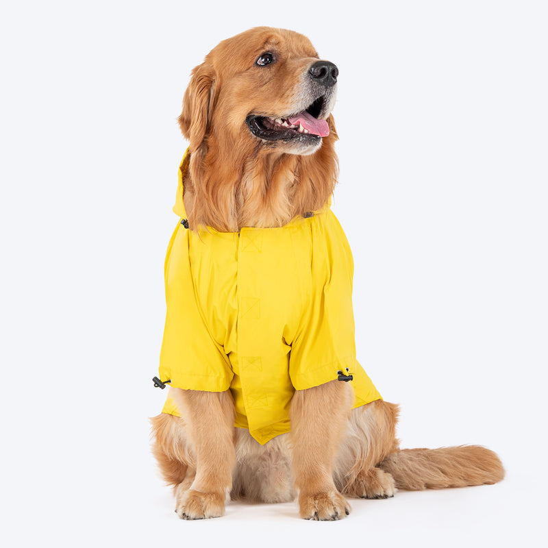 HUFT Magical Mist Raincoats for Pets - Sunshine Yellow_01