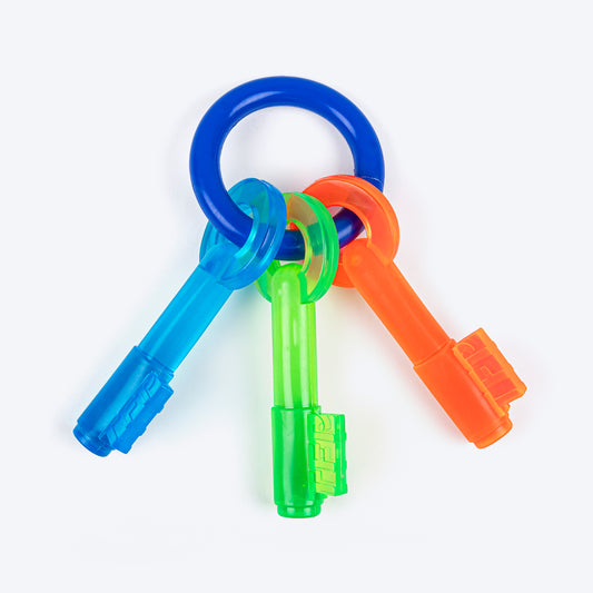 TLC Lock & Key Chew Toy For Dog - Multicolor