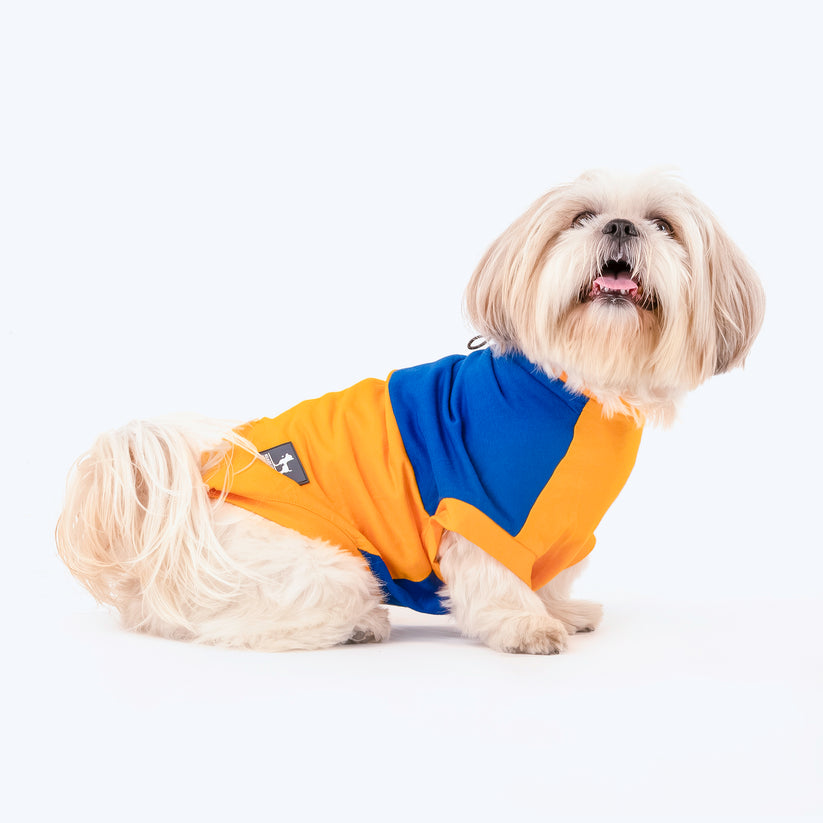 HUFT Breezy Boo Vest For Dogs
