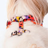 HUFT Misfit Meadow Adjustable Dog Harness - Purple_05
