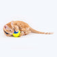 HUFT Squeaky Tennis Balls For Cats & Small Dogs - S - Pack of 3_09