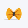 HUFT Shahi Utsav Bow Tie For Dog - Yellow