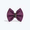 HUFT Shahi Utsav Bow Tie For Dog - Purple