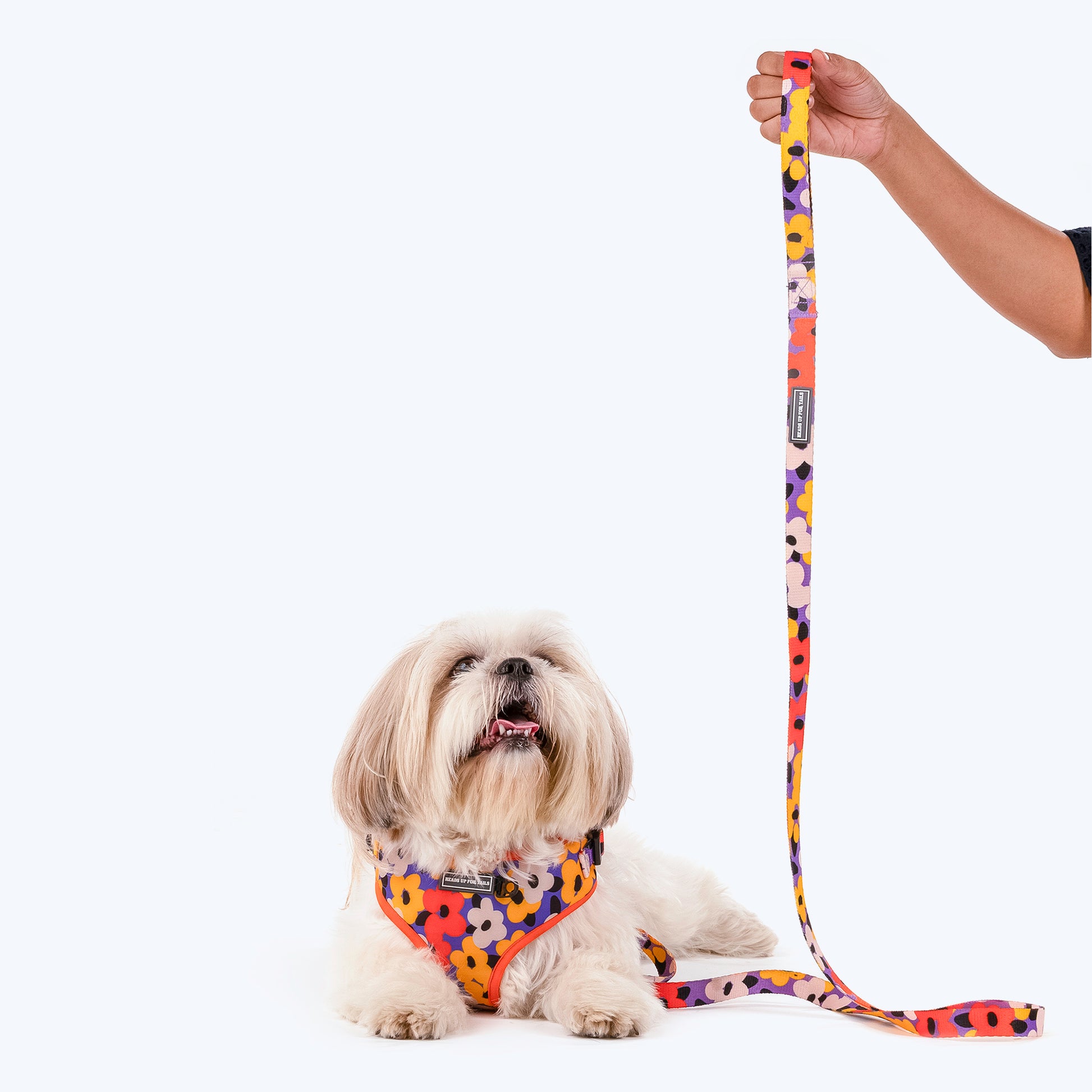 HUFT Misfit Meadow Printed Dog Leash - Purple_02