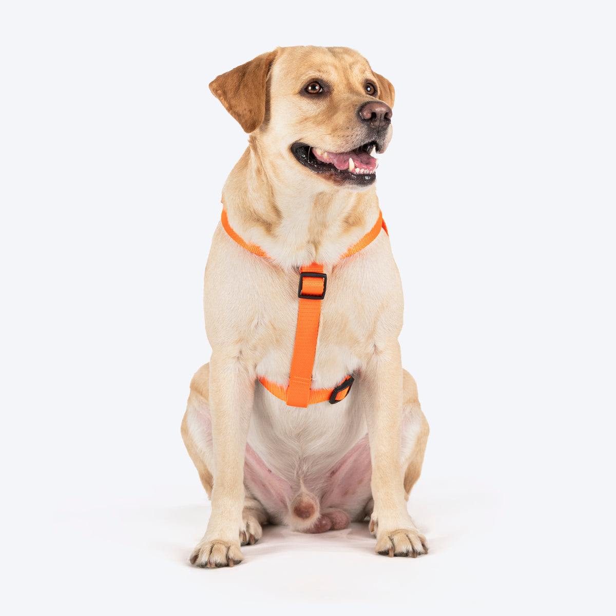 TLC Step-In Harness For Dog - Orange - Heads Up For Tails