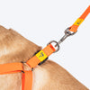 TLC Step-In Harness For Dog - Orange - Heads Up For Tails