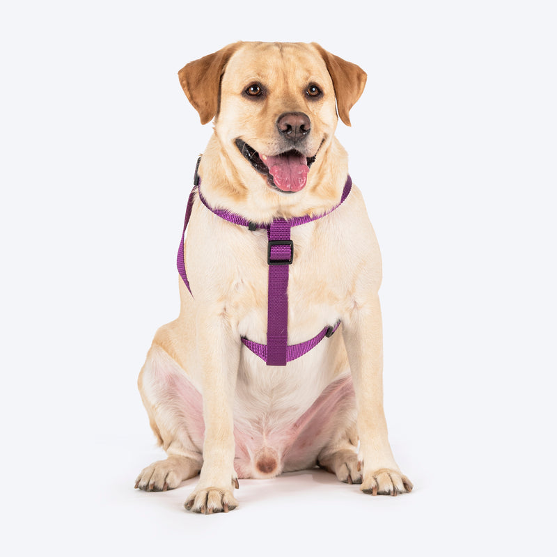 TLC Step-In Harness For Dog - Purple - Heads Up For Tails