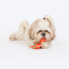 HUFT Pony Playtime Squeaky Plush Toy For Puppies - Multicolor - Heads Up For Tails
