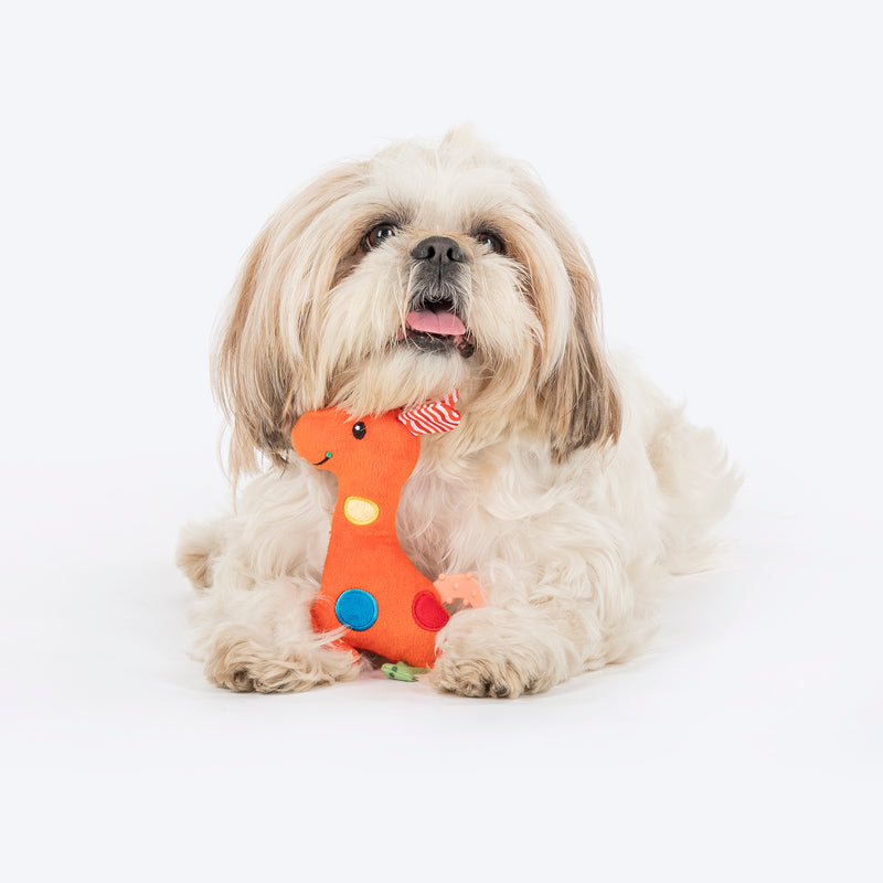 HUFT Pony Playtime Squeaky Plush Toy For Puppies - Multicolor - Heads Up For Tails