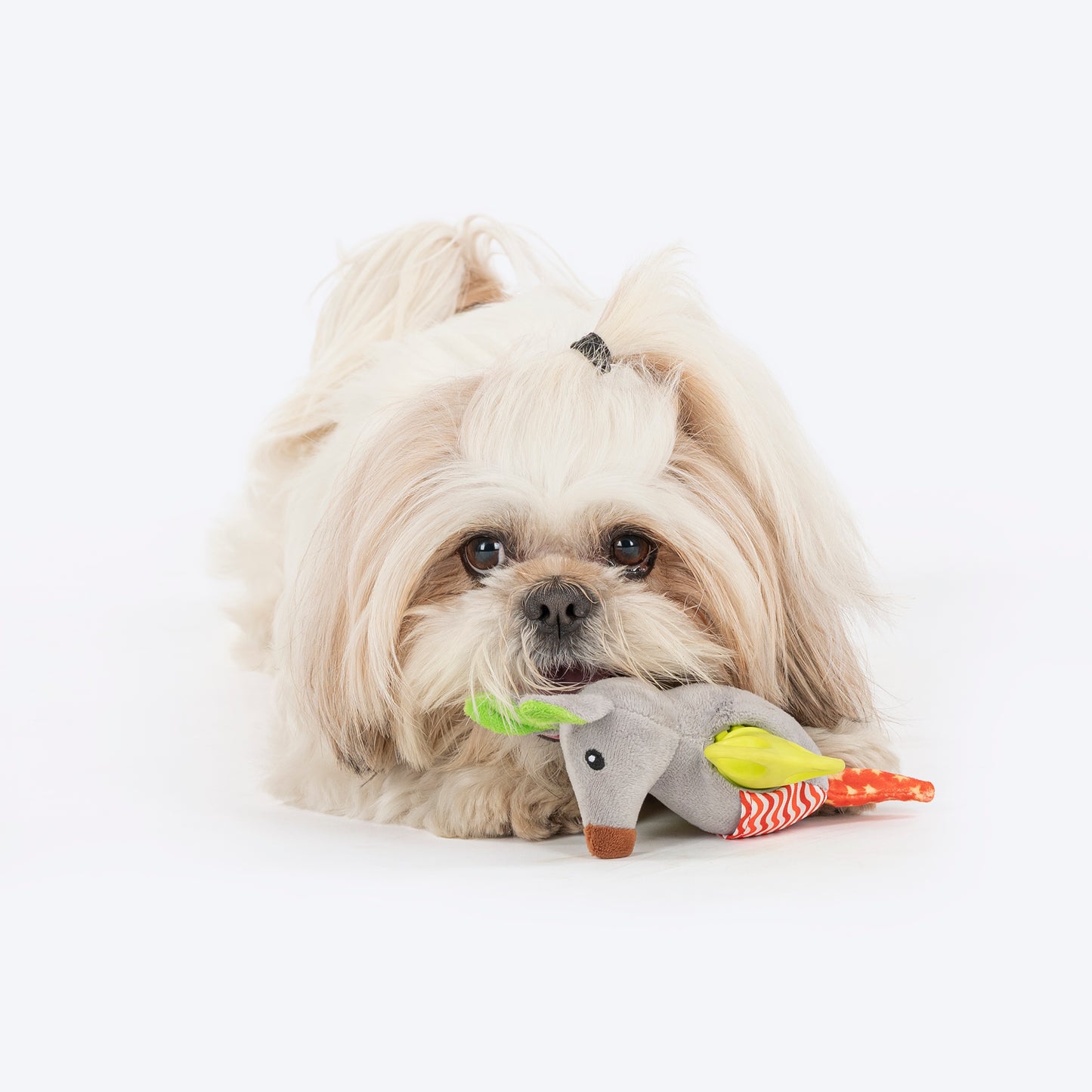 HUFT Cheery Roo Squeaky Plush Toy For Puppies - Multicolor - Heads Up For Tails