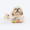HUFT Cheery Roo Squeaky Plush Toy For Puppies - Multicolor - Heads Up For Tails