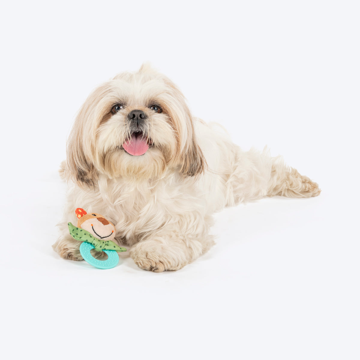 HUFT Cuddle Bear Squeaky Plush Toy For Puppies - Multicolor - Heads Up For Tails