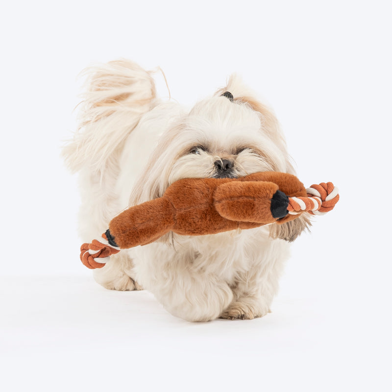 Dash Dog Tug-a-Bear Squeaky Plush Toy For Dog - Brown - Heads Up For Tails