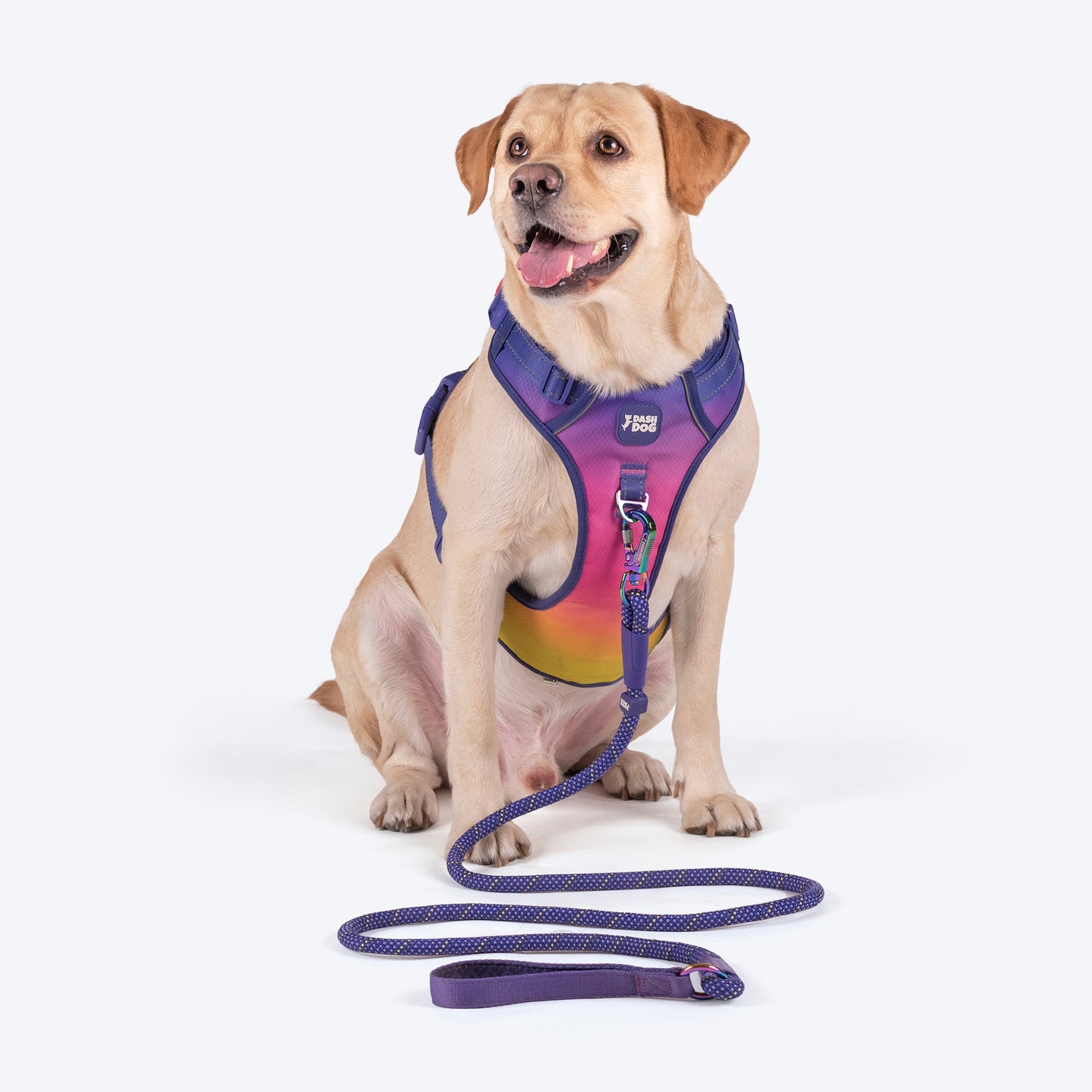 Dash Dog Chaser Rope Leash For Dog - Purple