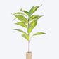 TLC Leafypaws Pole Scratcher For Cat - Multicolor
