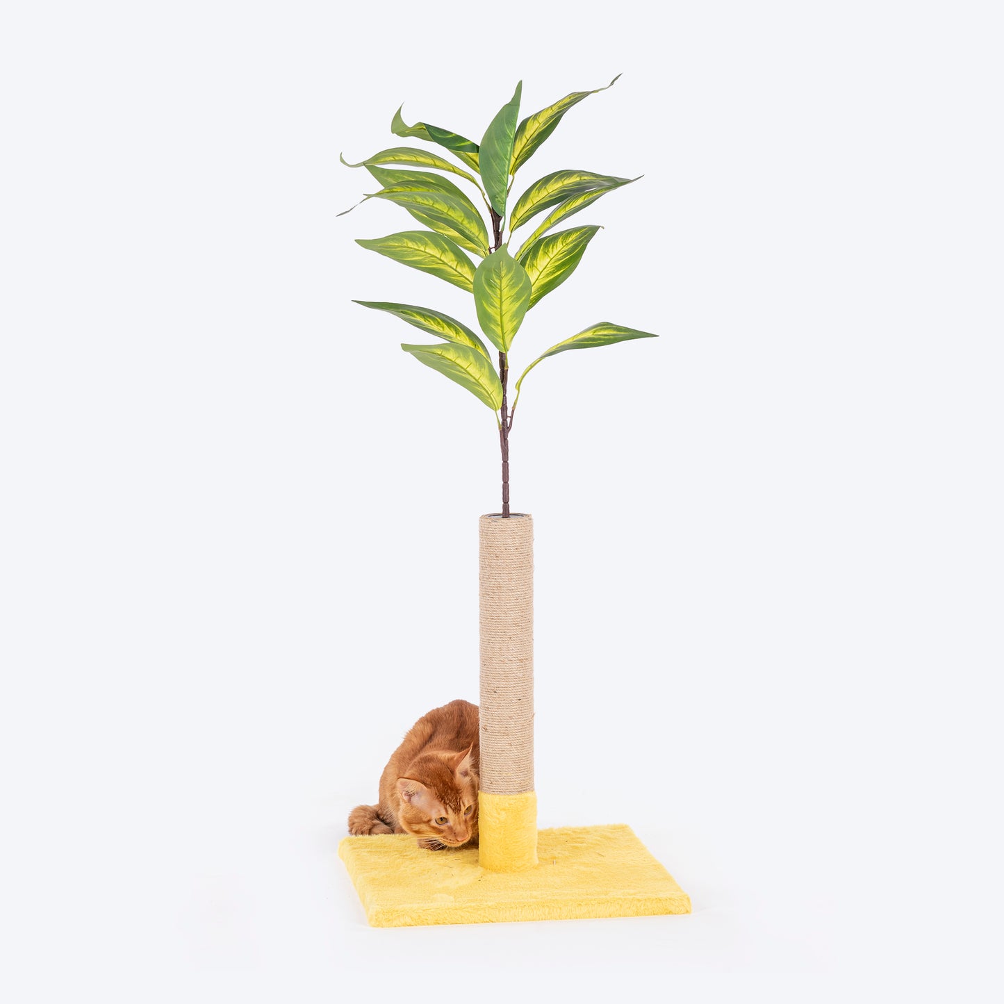 TLC Leafypaws Pole Scratcher For Cat - Multicolor