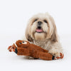 Dash Dog Tug-a-Bear Squeaky Plush Toy For Dog - Brown - Heads Up For Tails