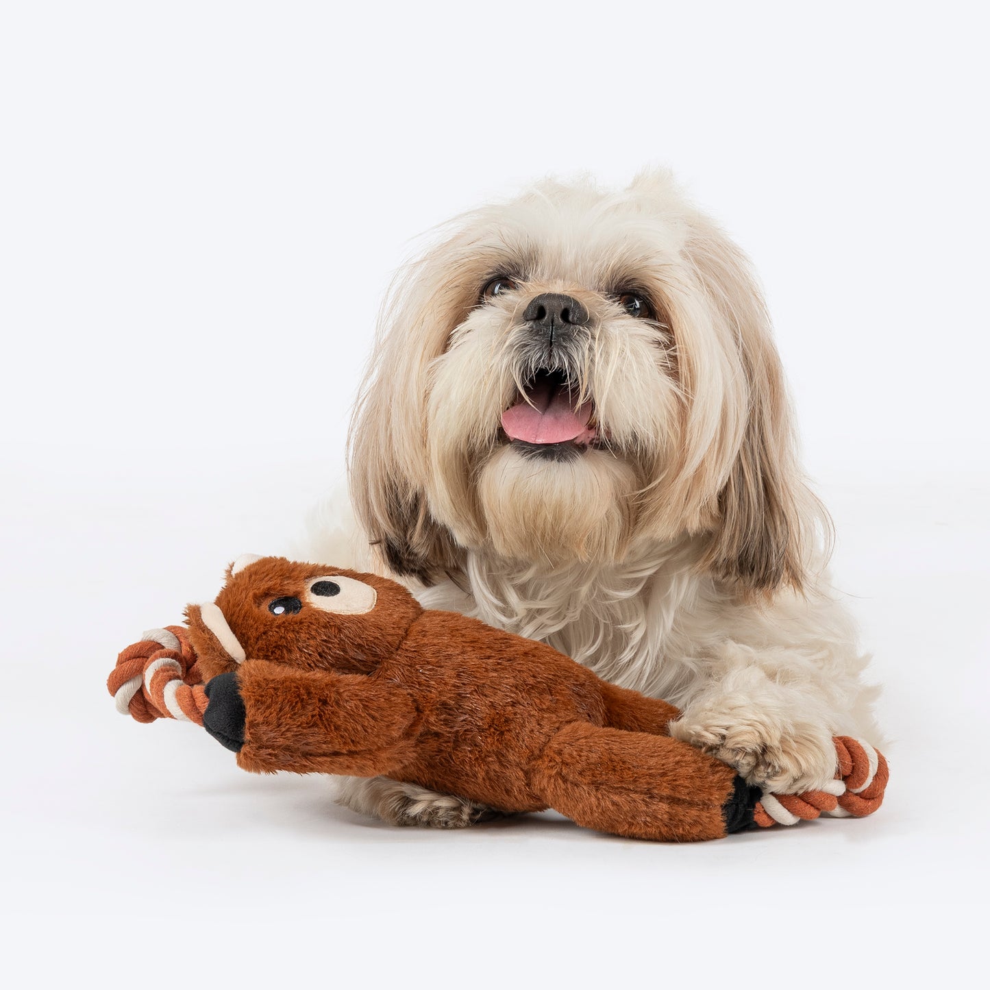 Dash Dog Tug-a-Bear Squeaky Plush Toy For Dog - Brown - Heads Up For Tails