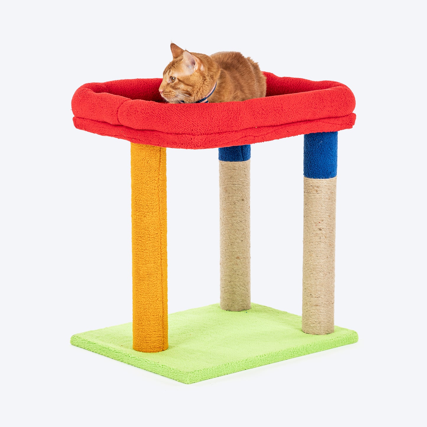 TLC Scratch n' Snooze Pole Scratcher For Cat - Multicolor