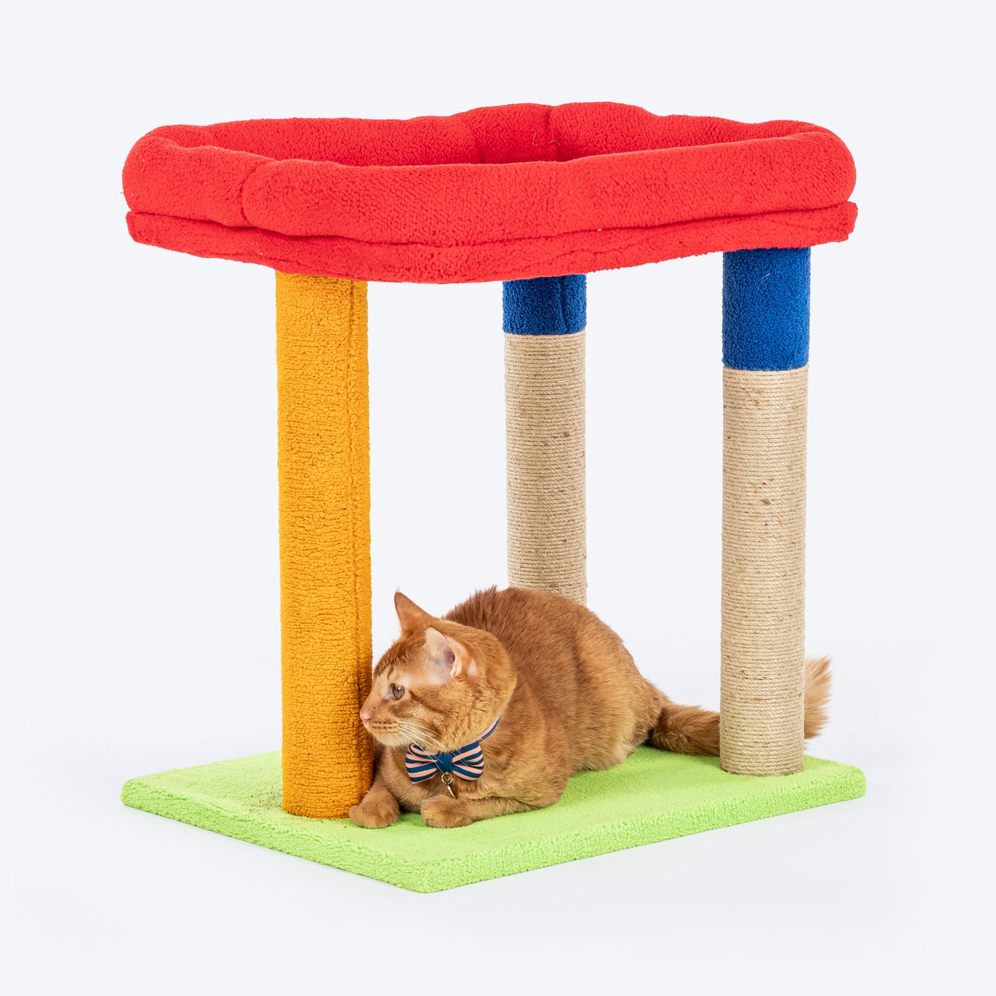 TLC Scratch n' Snooze Pole Scratcher For Cat - Multicolor