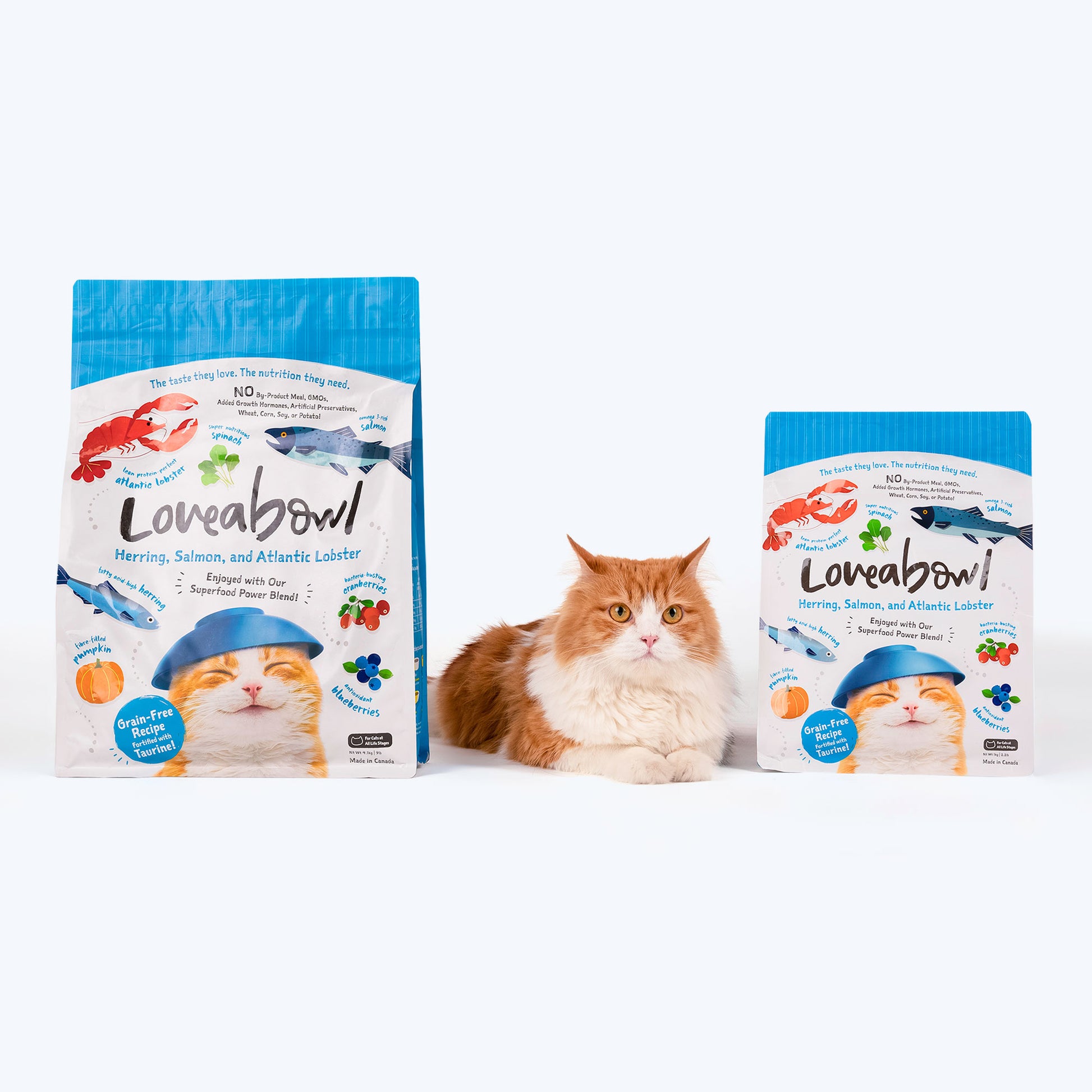 Loveabowl Grain Free Herring, Salmon & Atlantic Lobster Cat Dry Food - Heads Up For Tails